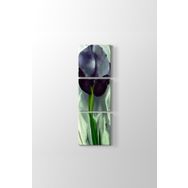 Georgia OKeeffe - Black Iris Tablosu