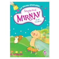 GEZGIN KEDI MIRNAV UÇAN BALONDA - FATMA IŞIK