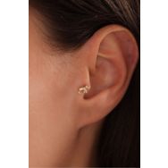Gianfranco 14 Ayar Fil Tragus Altın Küpe