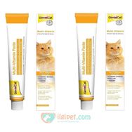 Gimcat 100 gr 2'li Paket Kedi Vitamini