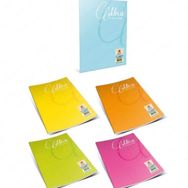 Gıpta 1705 Mica A4 PP Kapak 60 Yaprak Kareli Defter