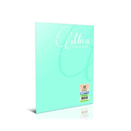 Gıpta 1706 A4 Mica PP 60 Yaprak Düz Defter