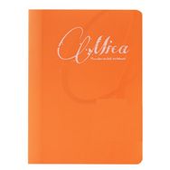 Gıpta 1711 A5 Mica PP 60 Yaprak Çizgili Defter