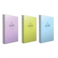 Gıpta 2 Kareli + 1 Çizgili Pastoral 120 Yaprak A4 Spiralli Kapak Defter