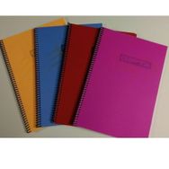 Gıpta 2035 A4 Eko PP 120 Yaprak Çizgili Defter