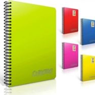 Gıpta 2064 Spiralli Defter
