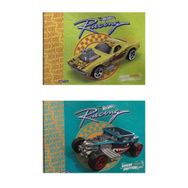 Gıpta 5437 Hot Wheels 25x35 cm 15 Yaprak 2 li Resim Defteri