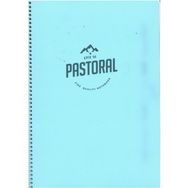 Gıpta 72 Yaprak Kareli Spiralli Pp. Kapak 17x24 cm Mavi Pastoral Defter