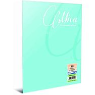 Gıpta 73514 Defter A4 Mıca Pp 60 Yaprak Çizgili Defter