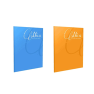 Gıpta A5 60 Yaprak Mica Tel Dikişli Plastik Kapak Çizgili Defter