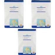 Gıpta A5 Prisma Çizgili Spiralli Karton Kapaklı Bloknot 100 Yaprak 3'lü Defter