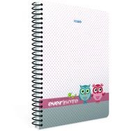 Gıpta Evernote A4 80 Yaprak Çizgili Spiralli Ofset Defter