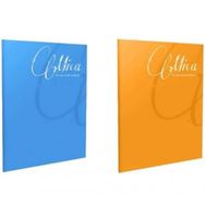 Gıpta Mica 2'li A5 40 Yaprak Tel Dikişli Plastik Kapak Kareli Defter