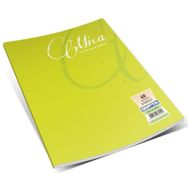 Gıpta Mica A4 80 Yaprak Tel Dikişli Plastik Kapak Kareli Defter