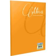 Gıpta Mica Tel Dikişli A5 80 Yaprak Çizgili Plastik Kapak Defter