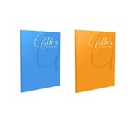 Gipta Mica Tel Dikisli Pp Kapak A4 Kareli 80 Yaprak 2'li Defter