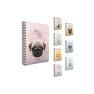 Gıpta Mıld A4 80 Yaprak Kareli Defter