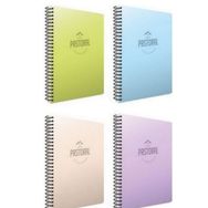 Gıpta Pastoral 72 Yaprak A4 Spiralli 3 Kareli + 1 Çizgili Pp Kapak Defter