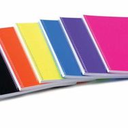 Gıpta PP A4 96 Yaprak Kareli Spiralli Defter