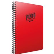 Gıpta Punto 100 Yaprak A4 Spiralli Pp Kareli Kapak Defter