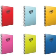 Gıpta Punto 6'lı 100 Yaprak A4 Spiralli Pp Seti Kareli Kapak Defter