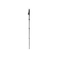Gitzo GM2541 Monopod