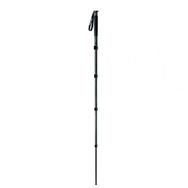 Gitzo GM3551 Monopod