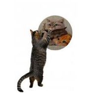 Glipet 36x36 cm Yuvarlak Three Cat Desenli Çift Taraflı Kedi Tırmalama Paspası
