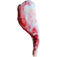 Glipet Kemik 25 cm Peluş Kedi ve Köpek Oyuncağı