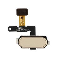 GMR Samsung Galaxy J7 Pro 2017 J730 Gold Home Tuş Bordu Filmi