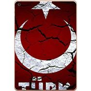 Gogo Accessories Apple iPad Air 2017-2018 A1893 A1954 T015 Türk Baskılı Silikon Kılıf
