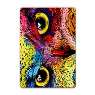 Gogo Accessories Apple iPad New Air2 A1566 A1567 Renkli Baykuş Baskılı Silikon Kılıf