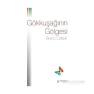 Gökkuşağının Gölgesi - Burcu Özbek