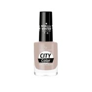 Golden Rose City Color Fall Winter Collection No:303 Oje