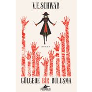 Gölgede Bir Buluşma 2 Sihrin Tonları - Schwab