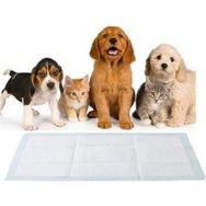 Good Life 120 Adet 60x60 cm Kedi Köpek Alıştırma Tuvalet Eğitim Pedi