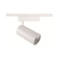Goya GY 3646 Ray Spot