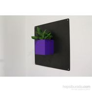 Greenmall Cubo Mor Mıknatıslı Plastik Saksı