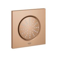 Grohe GRH27253000 Rainshower F-Series 5 1 Akışlı Tepe Duşu