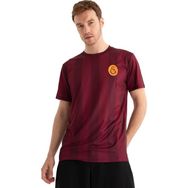 GS Store E232278 Bordo Galatasaray Match Day Erkek T-shirt