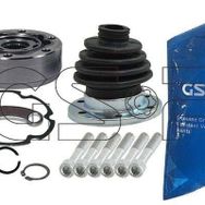 GSP 603008 Aks Kafası