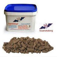 GuanoKalong 1 kg Toz Yarasa Gübresi