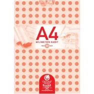 Gülpaş 144 Teknik Resim Defteri