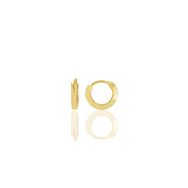 Gümüş Altın Yaldızlı 10 mm Halka Küpe Tragus Piercing Helix Kıkırdak Küpesi