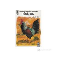 GÜMÜŞ HOROZ - MUSTAFA BÜLBÜL