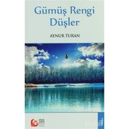 GÜMÜŞ RENGI DÜŞLER - AYNUR TURAN