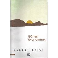 Güneşi Uyandırmak Necdet Ekici Çınaraltı Yayıncılık