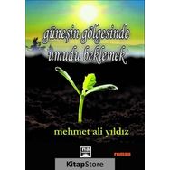 Güneşin Gölgesinde Umudu Beklemek - Mehmet Ali Yıldız