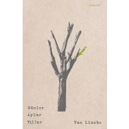 Günler Aylar Yıllar - Yan Lianke