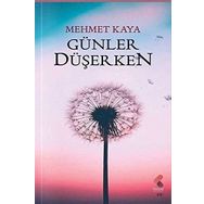 Günler Düşerken Mehmet Kara